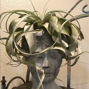 Meet your Posher, Liliana